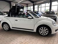 Gebraucht VW Beetle Cabriolet Basis 110 PS (80 kW) 2015 Weiß Cabrio