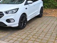 Gebraucht Ford Kuga ST-Line 150 PS (110 kW) 2019 Weiß SUV
