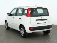 Neu Fiat Panda Connect 71 PS (52 kW) 2025 Gelatoweiss Kleinwagen