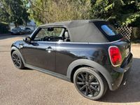 gebraucht Mini Cooper Cabriolet Cooper Colorline Chili, PDC Leder