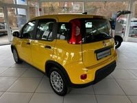 Gebraucht Fiat Panda 69 PS (50 kW) 2024 Sole gelb Kleinwagen