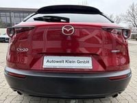 Gebraucht Mazda CX-30 2023 Rot SUV