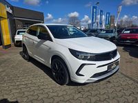 Gebraucht Opel Grandland X Elegance 131 PS (96 kW) 2023 Jade weiss/arktis weiss SUV