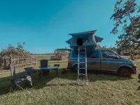 Gebraucht VW Transporter 150 PS (110 kW) 2018 Grau Van
