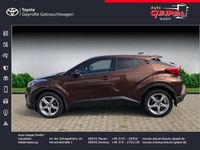 Gebraucht Toyota C-HR Basis 116 PS (85 kW) 2016 Havanna braun metallic SUV
