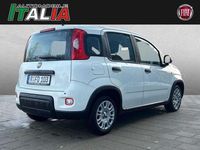 Gebraucht Fiat Panda 70 PS (51 kW) 2024 Weiß Kleinwagen