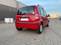 Gebraucht Fiat Panda Dynamic 69 PS (50 kW) 2011 Rot Kleinwagen