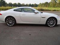 Gebraucht Jaguar XK 385 PS (283 kW) 2013 Polaris white Coupé