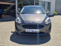 Gebraucht Ford Fiesta Trend 101 PS (74 kW) 2019 Magneticgrau (metallic) Kleinwagen