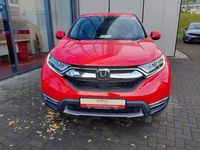 Gebraucht Honda CR-V Elegance 184 PS (135 kW) 2020 Rot SUV