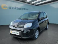 Usata Fiat Panda 71 CV (52 kW) 2024 Nero Utilitaria