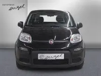Gebraucht Fiat Panda 69 PS (50 kW) 2024 Schwarz Kleinwagen