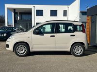 Gebraucht Fiat Panda 69 PS (50 kW) 2013 Beige Kleinwagen