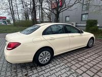 Gebraucht Mercedes E200 160 PS (117 kW) 2019 Beige Limousine