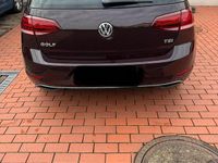 Gebraucht VW Golf VII Sound 110 PS (80 kW) 2017 Andere farben Kleinwagen