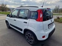 gebraucht Fiat Panda City Life Hybrid