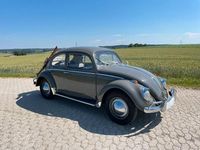Gebraucht VW Käfer 34 PS (25 kW) 1963 Grau