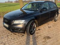 Gebraucht Audi SQ5 Competition 340 PS (250 kW) 2017 Grau SUV