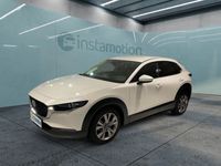 gebraucht Mazda CX-30 Selection 2.0 Klimaautomatik, Navi, Leder,