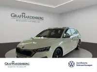 Gebraucht Skoda Octavia Ambition 150 PS (110 kW) 2023 Moonweiß perleffekt Kombi
