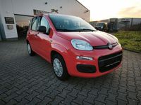 Gebraucht Fiat Panda Easy 69 PS (50 kW) 2018 Rot Limousine