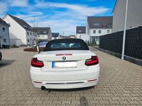 gebraucht BMW 220 i Cabrio Sport Line Sport Line