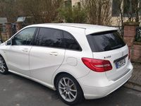 Gebraucht Mercedes B200 Edition 1 156 PS (114 kW) 2012 Weiß Van / Kleinbus