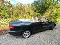 Gebraucht Volvo C70 163 PS (119 kW) 2001 Schwarz Cabrio