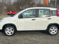 Gebraucht Fiat Panda 70 PS (51 kW) 2024 Weiß Kleinwagen