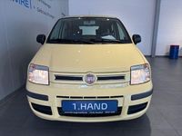 Gebraucht Fiat Panda Dynamic 60 PS (44 kW) 2010 Gelb Kleinwagen