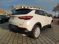 Gebraucht Opel Grandland X Dynamic 131 PS (96 kW) 2018 Weiß SUV