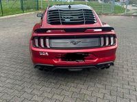 Gebraucht Ford Mustang GT 317 PS (233 kW) 2023 Rot Coupé