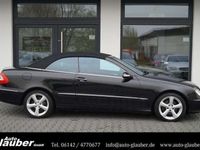 gebraucht Mercedes CLK240 Cabrio/Xenon/Automatik/Bose/Leder/PDC