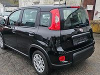 Gebraucht Fiat Panda 71 PS (52 kW) 2024 Schwarz Kleinwagen