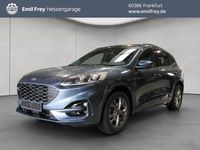 Gebraucht Ford Kuga ST-Line X 150 PS (110 kW) 2023 Blau SUV