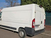 Gebraucht Citroën Jumper Proline 131 PS (96 kW) 2017 Weiß Van / Kleinbus