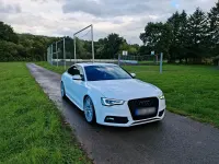Brugt Audi S5 444 HK (326 kW) 2012 Hvid Coupe