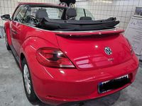 Gebraucht VW Beetle 105 PS (77 kW) 2015 Rot Kleinwagen