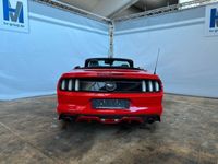 gebraucht Ford Mustang Basis Convertible