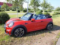 gebraucht Mini Cooper Cabriolet Cooper / JWC TRIM /18"LM / RFK / Harman K.