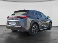 Gebraucht Lexus UX Luxury Line 178 PS (130 kW) 2019 Mercury grey metallic mercury grey metallic SUV