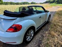 gebraucht VW Beetle 1.2 TSI BMT Cabriolet -