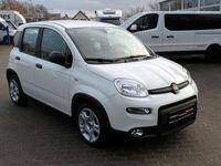 gebraucht Fiat Panda 1.0 Hybrid, Klimaauto,SHZ,WSS-Heizung