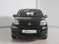 Neu Fiat Panda Icon 69 PS (50 kW) 2025 Schwarz Limousine
