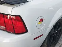 Gebraucht Ford Mustang 193 PS (141 kW) 2004 Weiß Cabrio