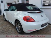 Second-hand VW Beetle Design 105 CP (77 kW) 2016 Alb Hatchback