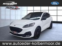 Gebraucht Ford Kuga ST-Line X 120 PS (88 kW) 2023 Frostweiß SUV