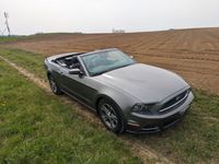 gebraucht Ford Mustang 