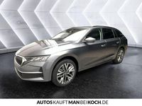 Neu Skoda Octavia 150 PS (110 kW) 2025 Weiß Kombi