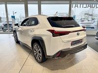 Neu Lexus UX 300h Sport Design Packet 199 PS (146 kW) 2025 Weiß SUV